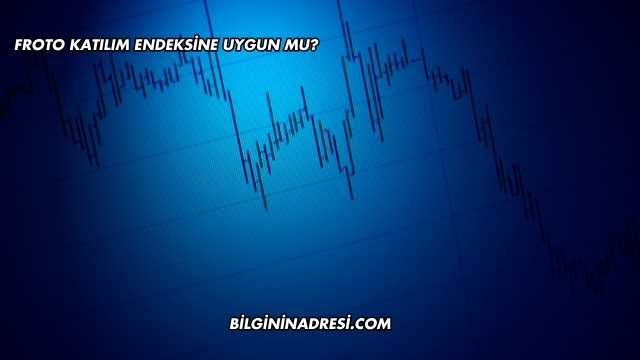 Froto Katılım Endeksine Uygun mu?
