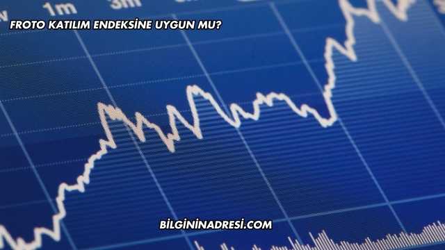 Froto Katılım Endeksine Uygun mu?