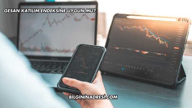 GESAN Katılım Endeksine Uygun mu?