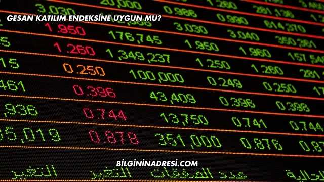 GESAN Katılım Endeksine Uygun mu?