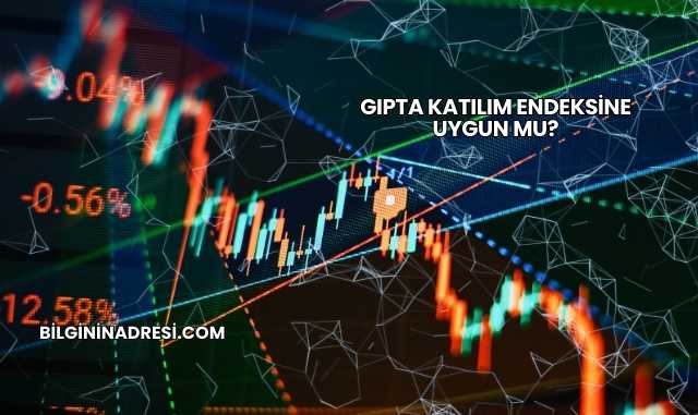 Gıpta Katılım Endeksine Uygun mu?