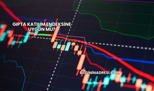 Gıpta Katılım Endeksine Uygun mu?