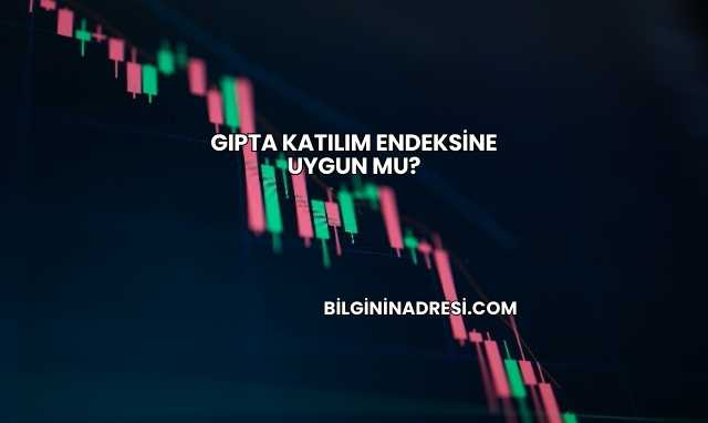Gıpta Katılım Endeksine Uygun mu?