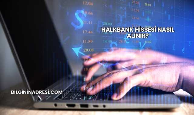 Halkbank Hissesi Nasıl Alınır?