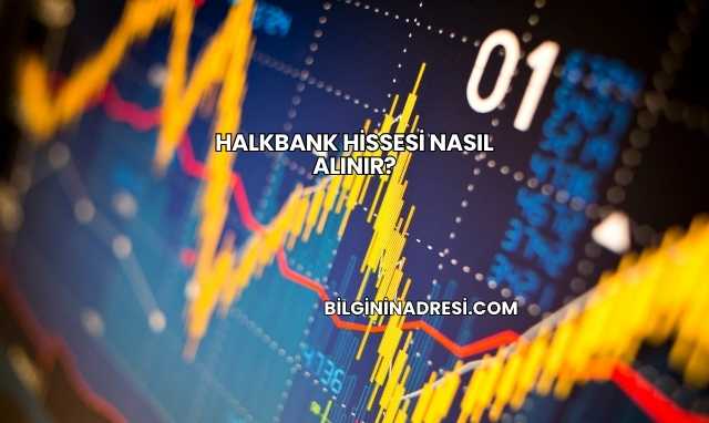 Halkbank Hissesi Nasıl Alınır?