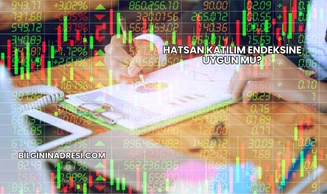 Hatsan Katılım Endeksine Uygun mu?