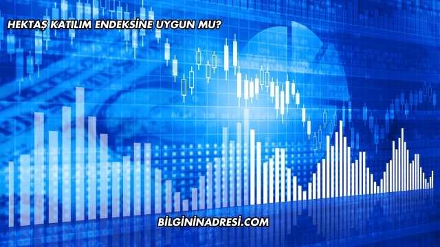 Hektaş Katılım Endeksine Uygun mu?