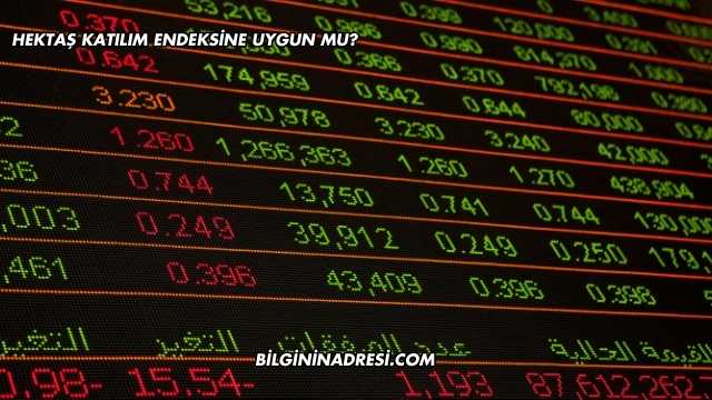 Hektaş Katılım Endeksine Uygun mu?