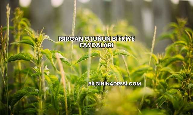 Isırgan Otunun Bitkiye Faydaları