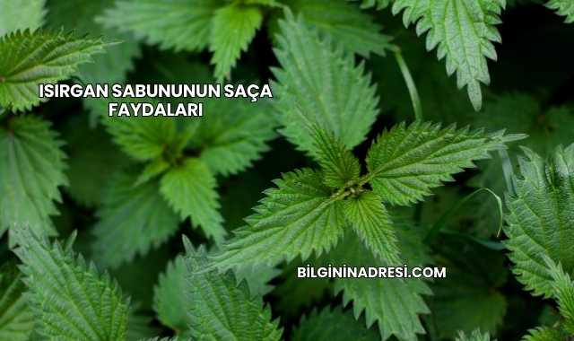 Isırgan Sabununun Saça Faydaları
