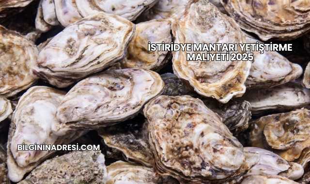 İstiridye Mantarı Yetiştirme Maliyeti 2025