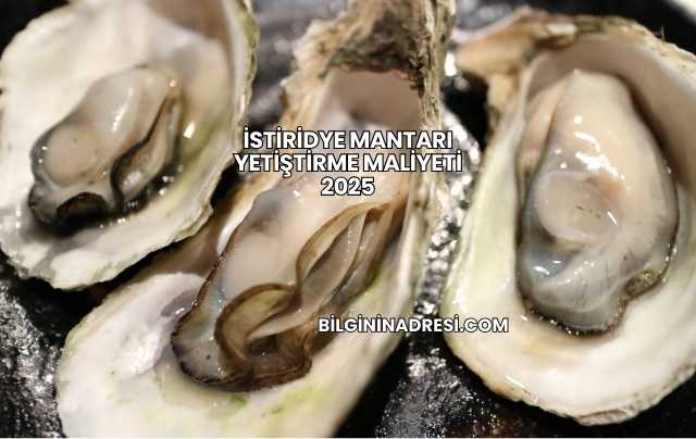 İstiridye Mantarı Yetiştirme Maliyeti 2025