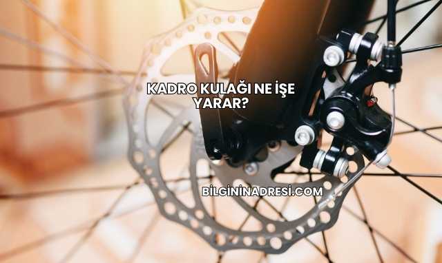 Kadro Kulağı Ne İşe Yarar?