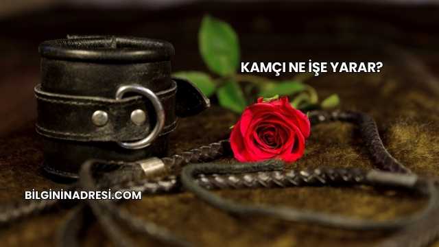 Kamçı Ne İşe Yarar?