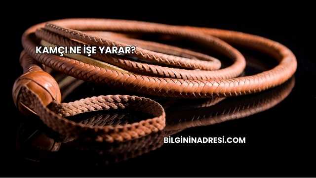 Kamçı Ne İşe Yarar?