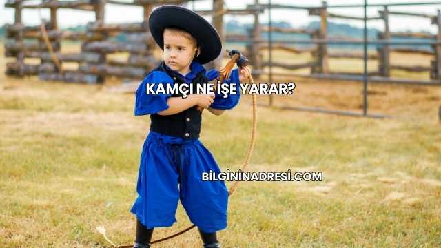 Kamçı Ne İşe Yarar?