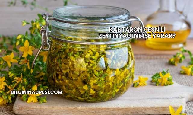 Kantaron Çeşnili Zeytinyağı Ne İşe Yarar?