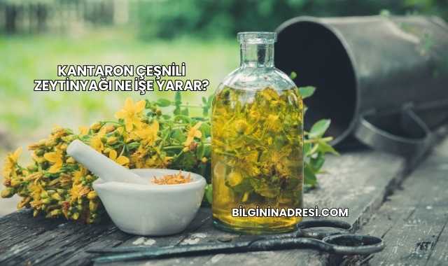 Kantaron Çeşnili Zeytinyağı Ne İşe Yarar?