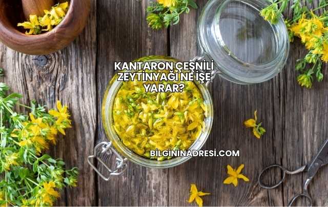 Kantaron Çeşnili Zeytinyağı Ne İşe Yarar?
