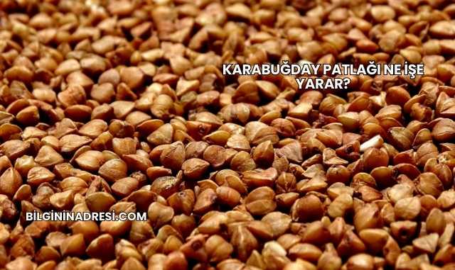 Karabuğday Patlağı Ne İşe Yarar?