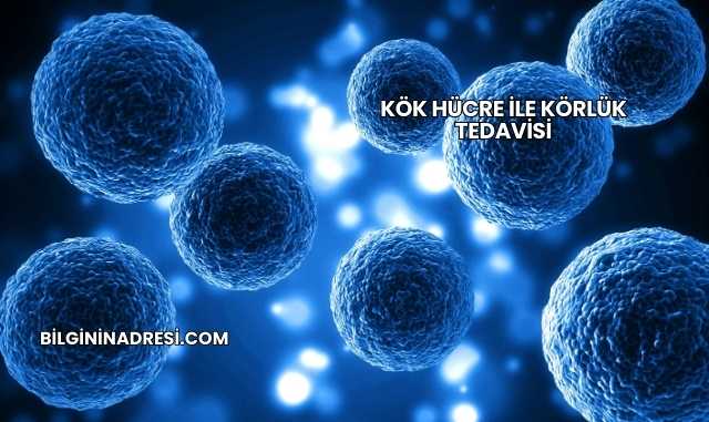 Kök Hücre ile Körlük Tedavisi
