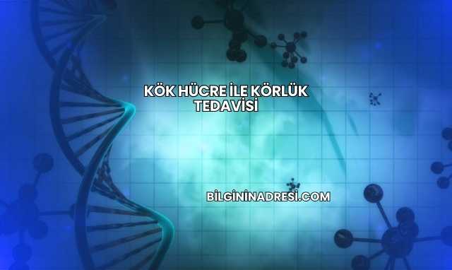 Kök Hücre ile Körlük Tedavisi