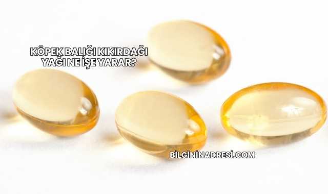 Köpek Balığı Kıkırdağı Yağı Ne İşe Yarar?