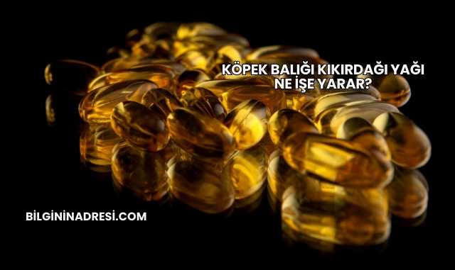 Köpek Balığı Kıkırdağı Yağı Ne İşe Yarar?
