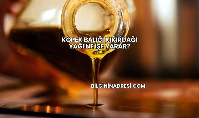 Köpek Balığı Kıkırdağı Yağı Ne İşe Yarar?