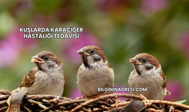 Kuşlarda Karaciğer Hastalığı Tedavisi