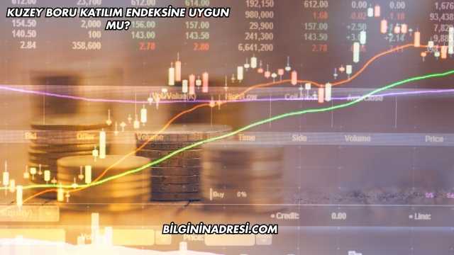 Kuzey Boru Katılım Endeksine Uygun mu?