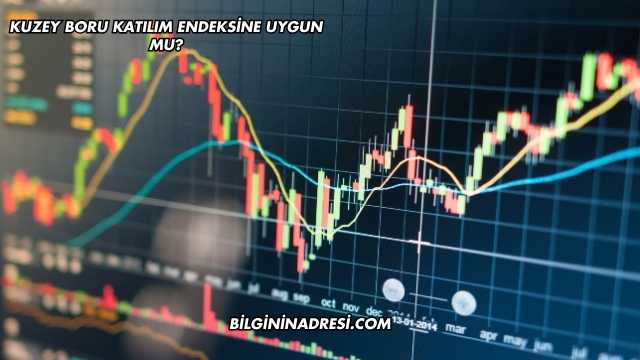 Kuzey Boru Katılım Endeksine Uygun mu?
