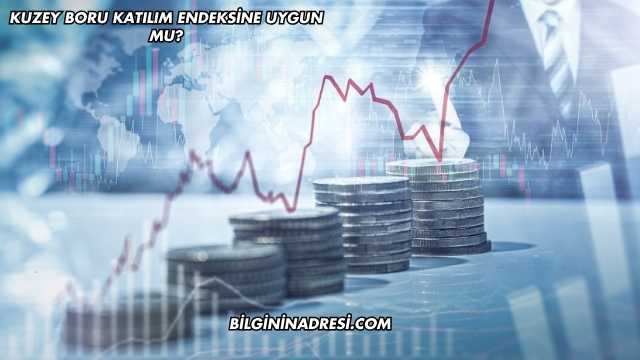 Kuzey Boru Katılım Endeksine Uygun mu?