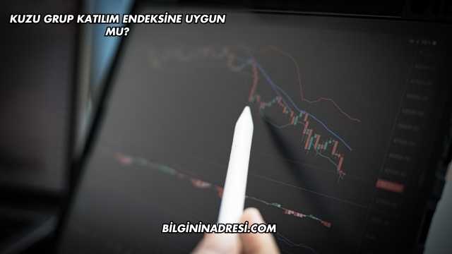 Kuzu Grup Katılım Endeksine Uygun mu?