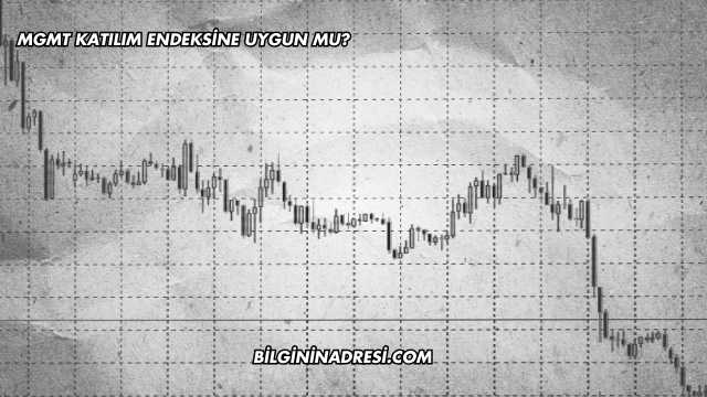 MGMT Katılım Endeksine Uygun mu?