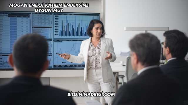 Mogan Enerji Katılım Endeksine Uygun mu?