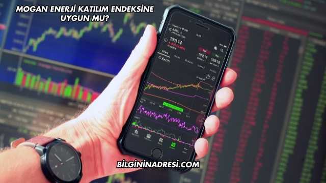Mogan Katılım Endeksine Uygun mu?