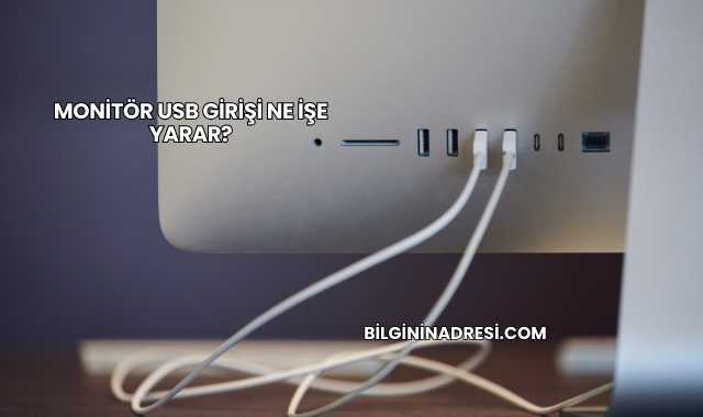 Monitör USB Girişi Ne İşe Yarar?