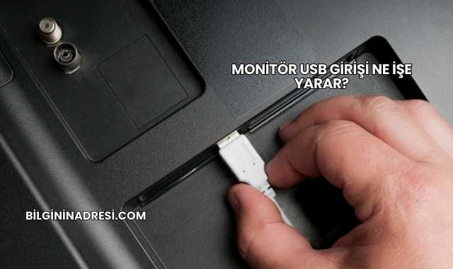 Monitör USB Girişi Ne İşe Yarar?