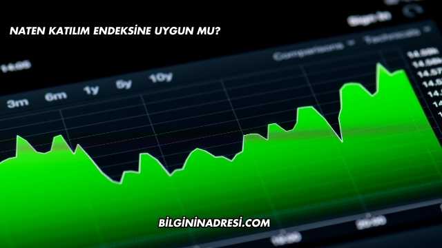 Naten Katılım Endeksine Uygun mu?