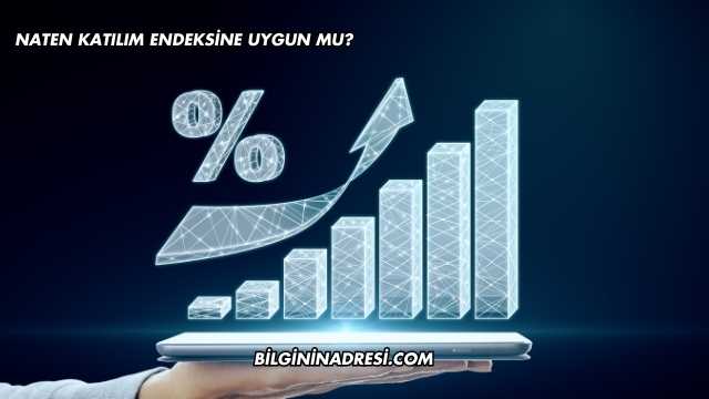Naten Katılım Endeksine Uygun mu?