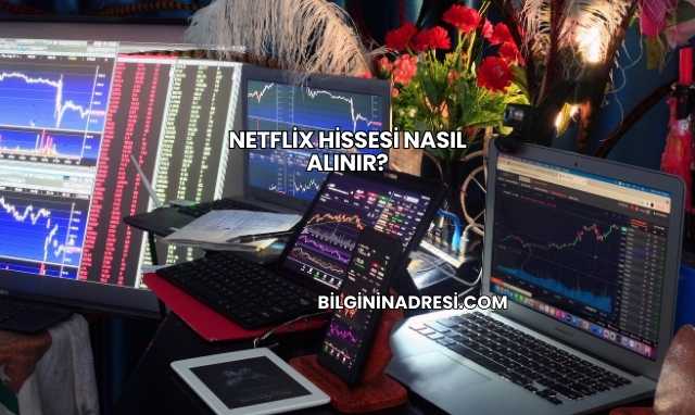 Netflix Hissesi Nasıl Alınır?