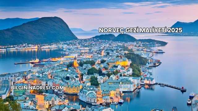Norveç Gezi Maliyeti 2025