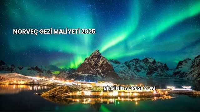 Norveç Gezi Maliyeti 2025