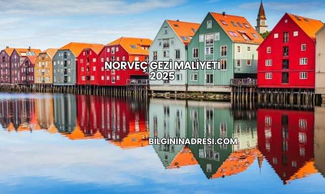 Norveç Gezi Maliyeti 2025