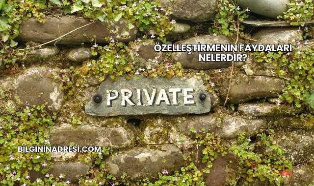 Özelleştirmenin Faydaları Nelerdir?