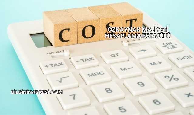 Özkaynak Maliyeti Hesaplama Formülü
