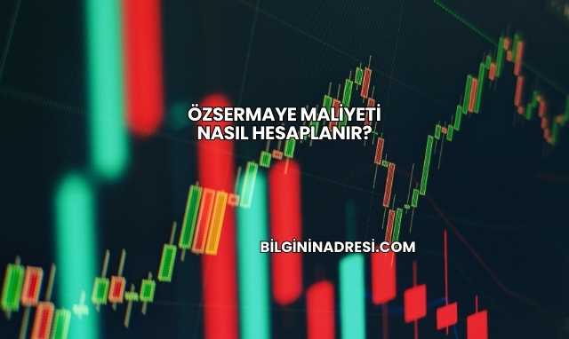 Özsermaye Maliyeti Nasıl Hesaplanır?