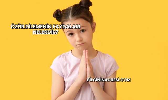 Özür Dilemenin Faydaları Nelerdir?