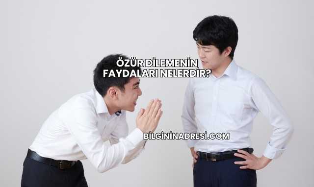 Özür Dilemenin Faydaları Nelerdir?